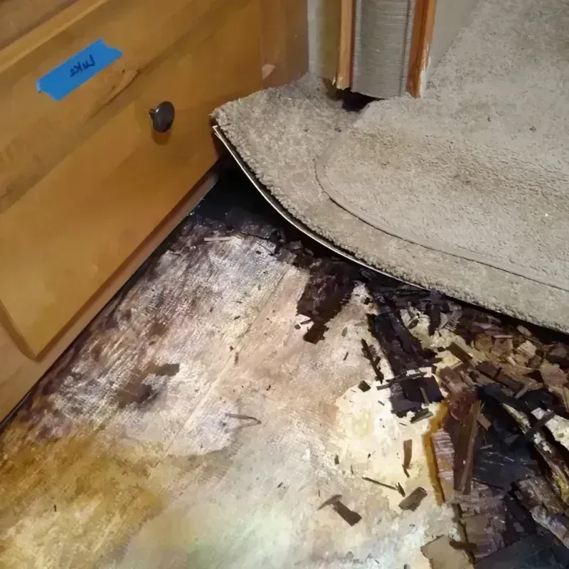 Best Wood Floor Water Damage Service in Tamarac, FL